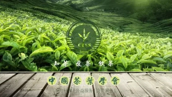 Pembukaan Persidangan Teh Hijau Shaoxing Antarabangsa (Shengzhou) Pertama dan...